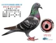  2019年秋宜蘭聯合會五関綜合四位