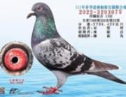 宜蘭合會四關綜合13位全會7488羽殘32羽